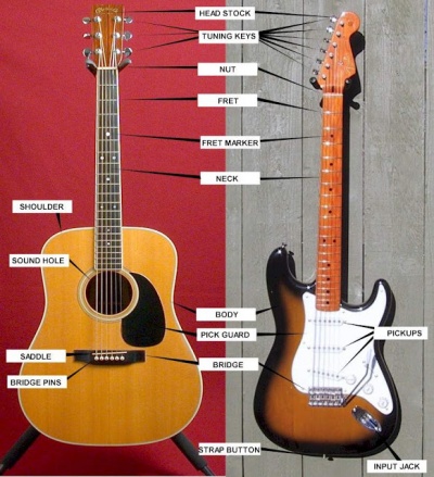 Guitarpartsdiagram